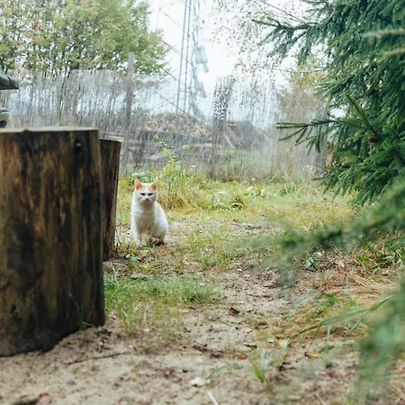 Na Widoku - Jacuzzi, Grill I Rowery Prázdninový dům *